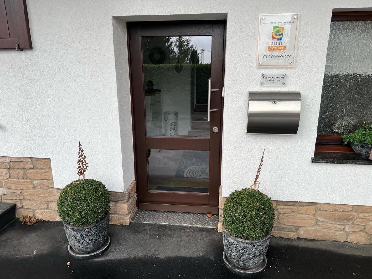 Ferienwohnung Katharina 4 Sterne Laut Dtv Wallbox 11Kw 니데겐 외부 사진